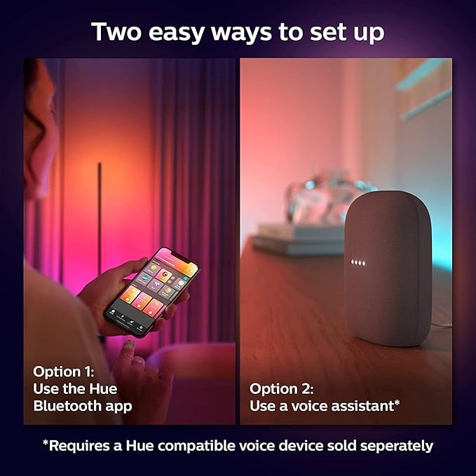 Philips Hue Gradient Light Strip 2m